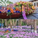 尚湖风景区-江南牡丹馆 - 苏州市旅游 缩略图 9