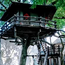 乌镇西栅景区 - 嘉兴旅游 缩略图 9