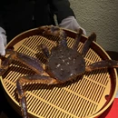 千花·怀石会席·活蟹料理 - 南京市旅游 缩略图 8