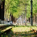 长春站 - 长春市旅游 缩略图 9