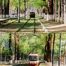 长春站 - 长春市旅游 缩略图 6
