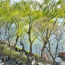 烟袋斜街特色商业街 - 北京旅游 缩略图 2
