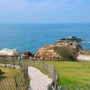 小麦岛公园 - 青岛旅游 缩略图 3