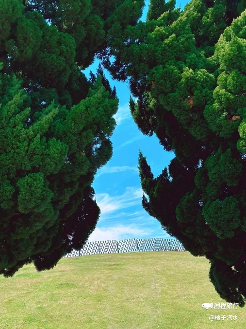 小麦岛公园 - 青岛旅游