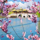 蜀冈瘦西湖风景名胜区 - 扬州市旅游 缩略图 3