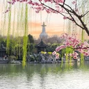 蜀冈瘦西湖风景名胜区 - 扬州市旅游 缩略图 1