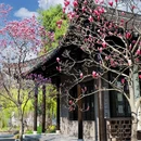 蜀冈瘦西湖风景名胜区 - 扬州市旅游 缩略图 4