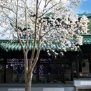 蜀冈瘦西湖风景名胜区 - 扬州市旅游 缩略图 5