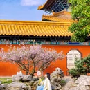 江浙沪川湘融合 - 上海市旅游 缩略图 1