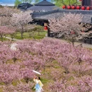 江浙沪川湘融合 - 上海市旅游 缩略图 5