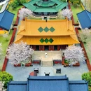 江浙沪川湘融合 - 上海市旅游 缩略图 3