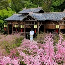 江浙沪川湘融合 - 上海市旅游 缩略图 2