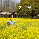 乌镇古镇旅游区 - 嘉兴市旅游 缩略图 4