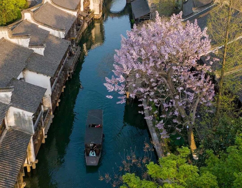 乌镇古镇旅游区 - 嘉兴市旅游 1