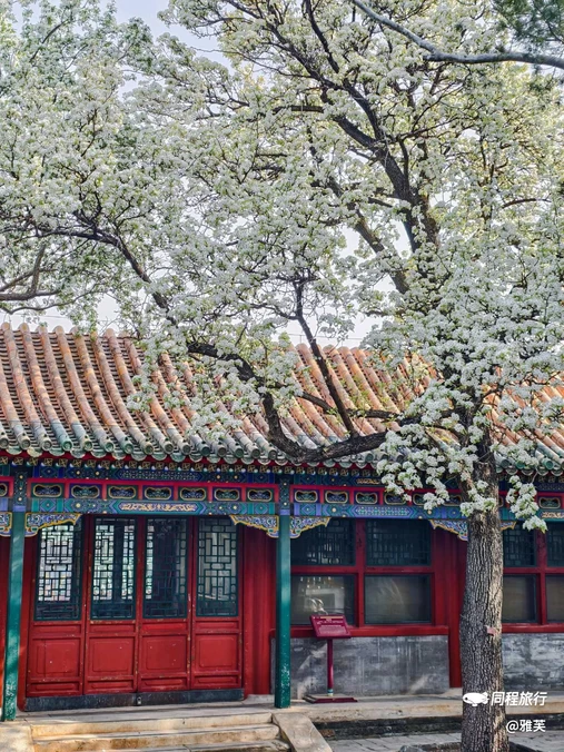 北海公园 - 北京市旅游