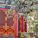 北海公园 - 北京市旅游 缩略图 3