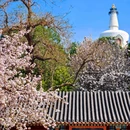 北海公园 - 北京市旅游 缩略图 7