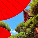 曼谷 - 泰国旅游 缩略图 5