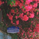 港湾住宅小区 - 深圳市旅游 缩略图 1