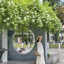 四川大学望江校区北大门 - 成都市旅游 缩略图 4