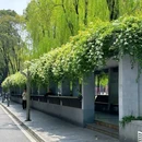 四川大学望江校区北大门 - 成都市旅游 缩略图 8