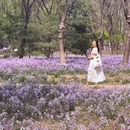 京城森林公园-西区 - 北京旅游 缩略图 7