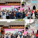 成都市文殊院 - 成都市旅游 缩略图 4