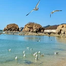 CAAN by OUR(大连琥珀湾店) - 大连旅游 缩略图 7