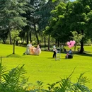 中心公园 - 成都旅游 缩略图 4
