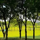 中心公园 - 成都旅游 缩略图 6