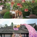 东方盐湖城·道天下景区游客中心 - 常州市旅游 缩略图 8