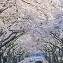 济州岛(辽阳路) - 抚顺市旅游 缩略图 3