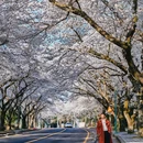 济州岛(辽阳路) - 抚顺市旅游 缩略图 4