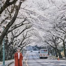 济州岛(辽阳路) - 抚顺市旅游 缩略图 6