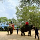 曼谷 - 泰国旅游 缩略图 5