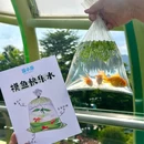 珠江花园酒店 - 三亚旅游 缩略图 5