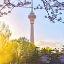 玉渊潭公园 - 北京市旅游 缩略图 3
