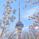 玉渊潭公园 - 北京市旅游 缩略图 1