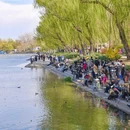 玉渊潭公园 - 北京市旅游 缩略图 9