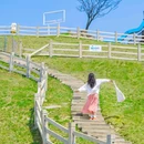 玻璃栈道 - 湖州市旅游 缩略图 7