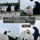 阙星华豆腐脑(杨柳河店) - 成都市旅游 缩略图 5