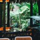 夏忘·东南亚雨林餐厅 - 西双版纳傣族自治州旅游 缩略图 2