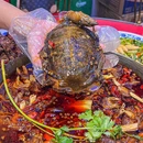 虾皇后笑傲江湖菜(盘龙直营店) - 重庆市旅游 缩略图 4
