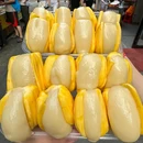 运栋天马牛肉饼(湖大店) - 长沙市旅游 缩略图 1