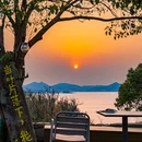 嵊泗海湾森林民宿 - 舟山市旅游 缩略图 8
