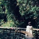 深圳市弘法寺 - 深圳市旅游 缩略图 8