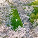 千岛湖风景区 - 杭州市旅游 缩略图 2
