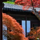 常熟方塔园 - 苏州市旅游 缩略图 3
