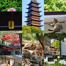 常熟方塔园 - 苏州市旅游 缩略图 1