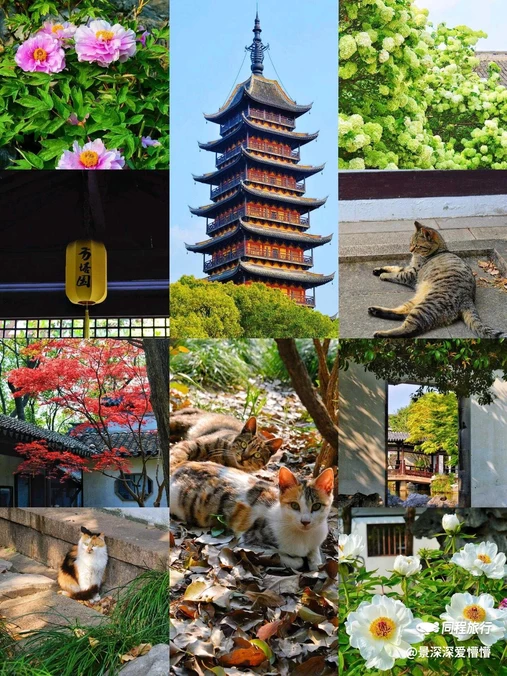 常熟方塔园 - 苏州市旅游